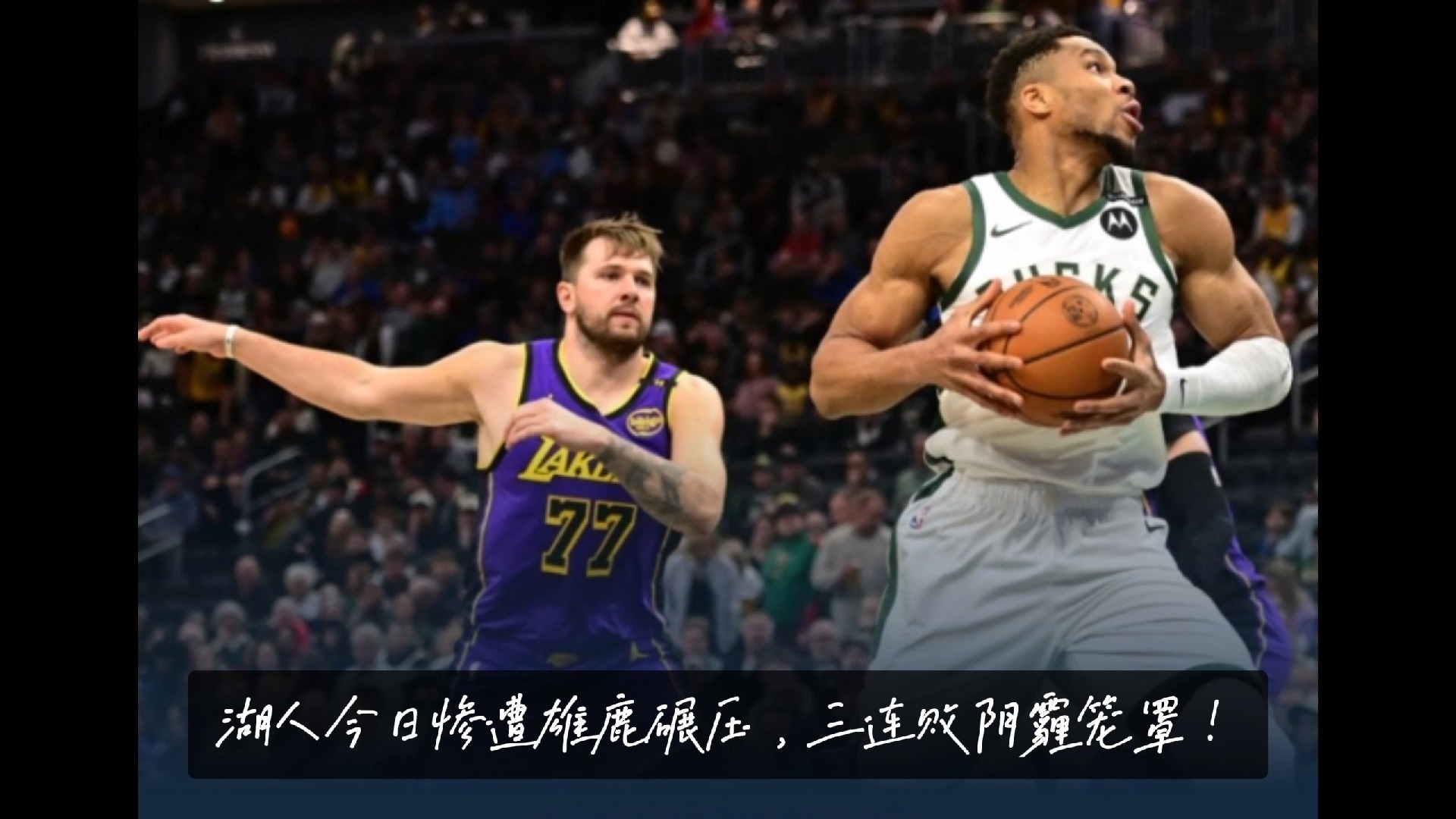 关于险胜首场状态出色，雄鹿观众沸腾！，穆雷重返赛场比赛高潮迭起的信息